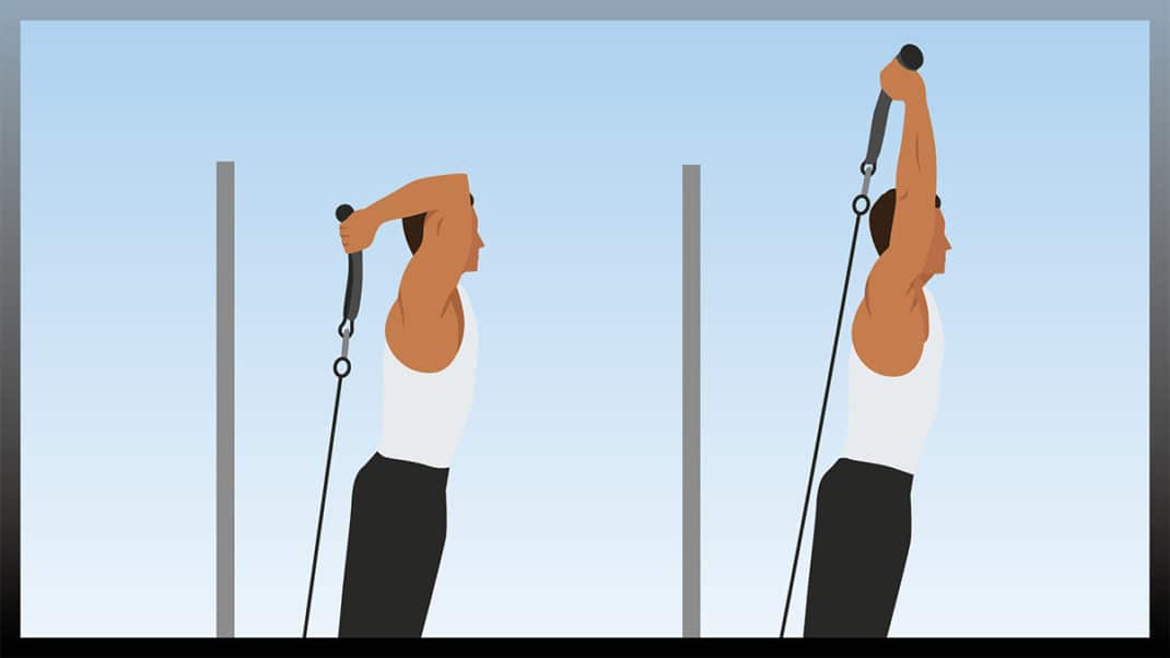 Illustration of person doing overhead triceps exercise