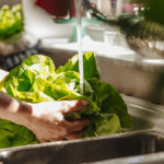 Person washing leafy greens in sink