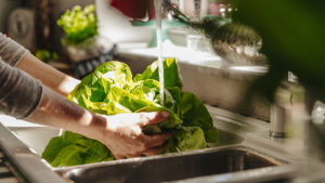 Person washing leafy greens in sink