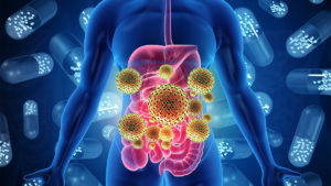 Illustration of Trimethylamine N-oxide in the gut