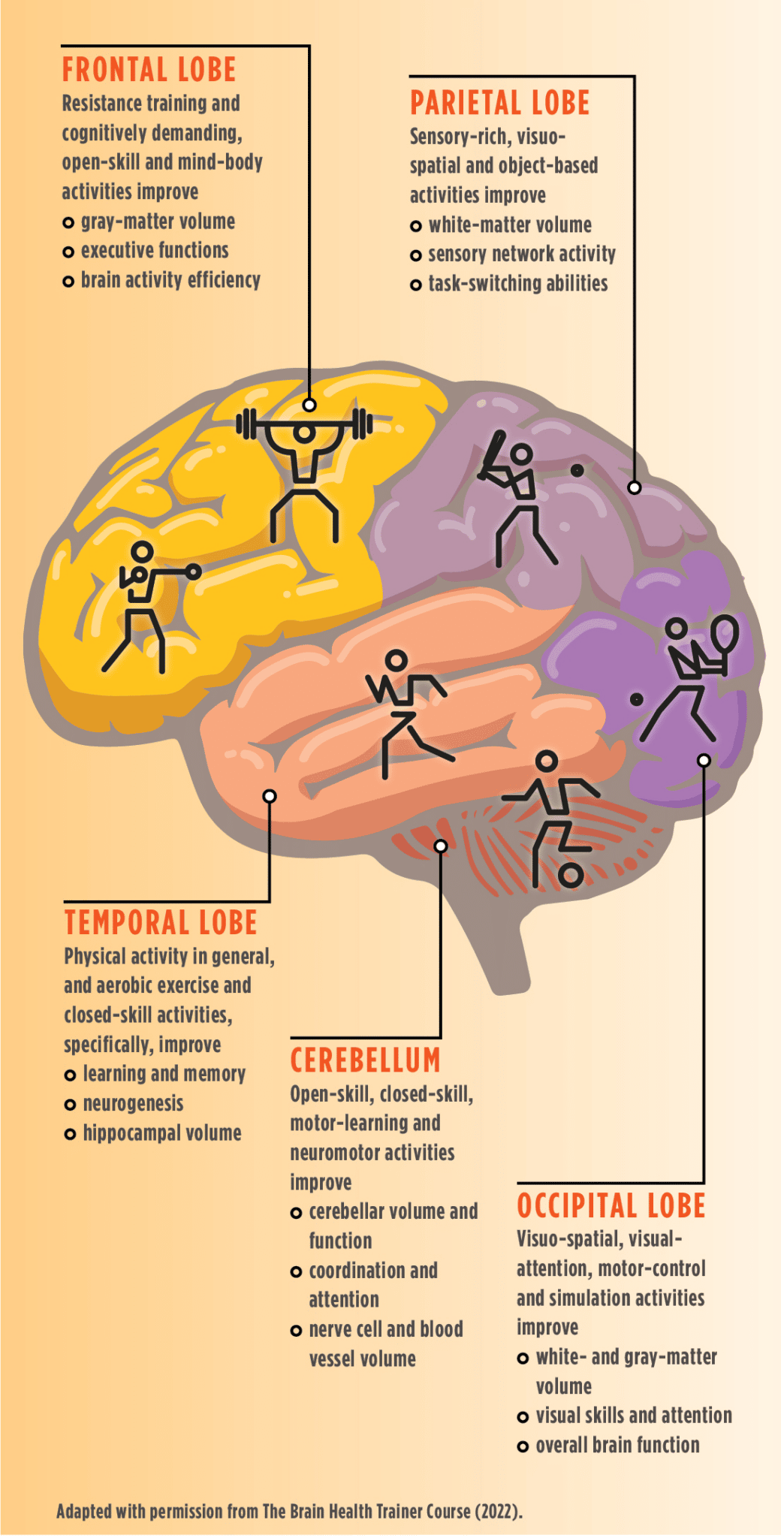 Applying Neuroscience to Exercise Programming IDEA