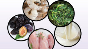 Iodine food source