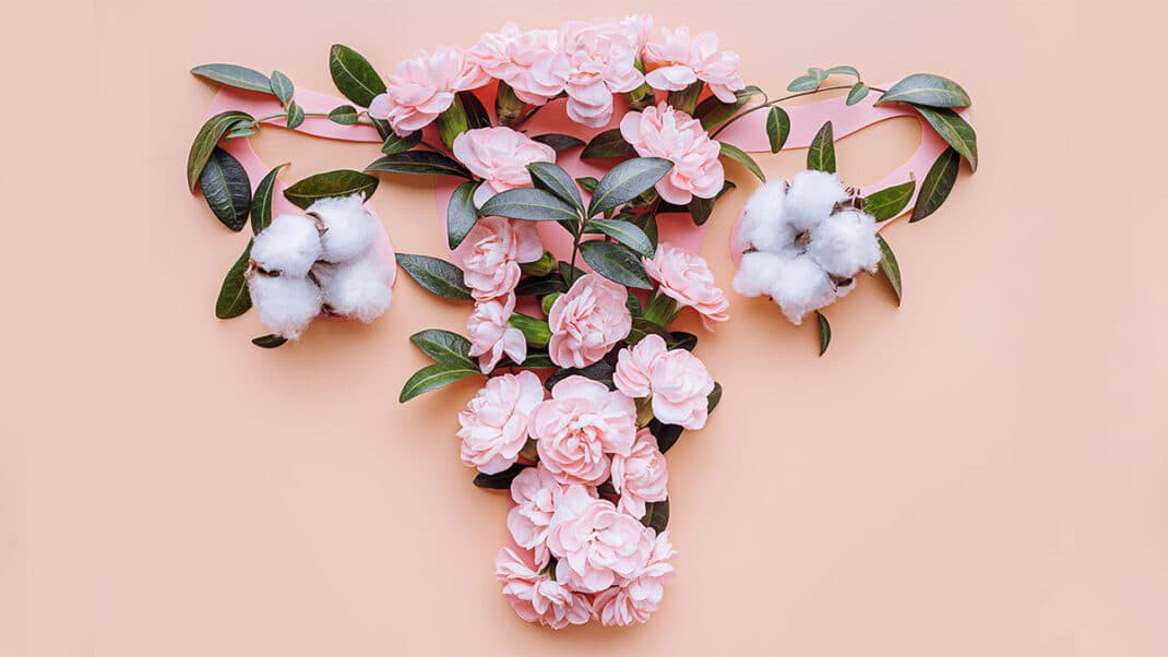 Flowers as female reproductive organs to represent mindset and menopause