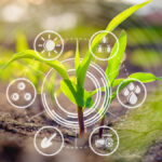 Environment Impact of Diets