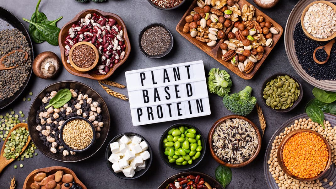 Plant-Based Proteins