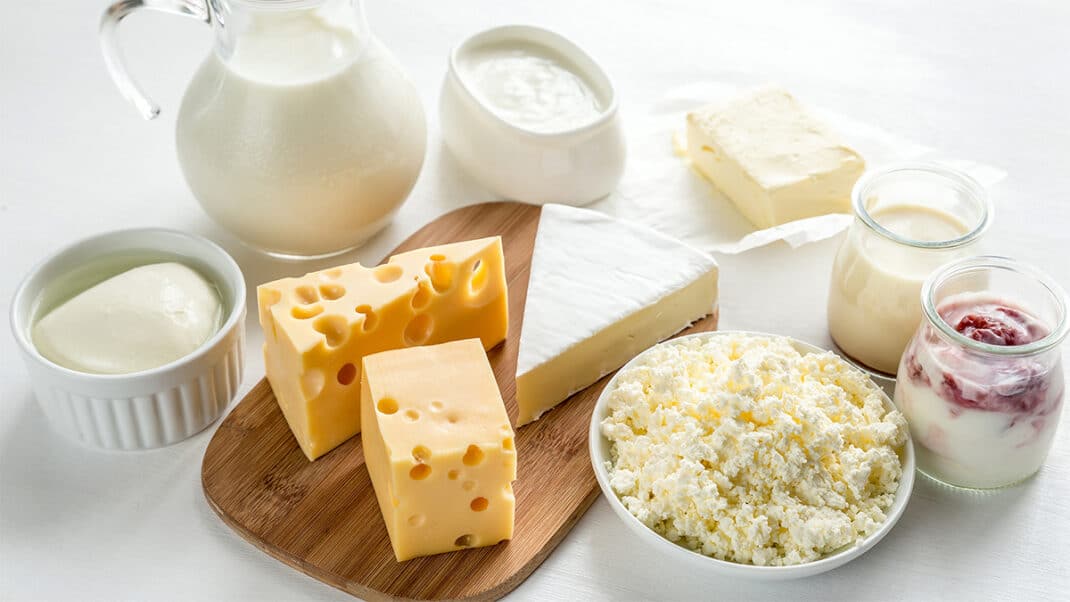 Saturated Fat in Dairy