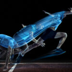 Health and Fitness Benefits of Performing Aerobic and Resistance Training