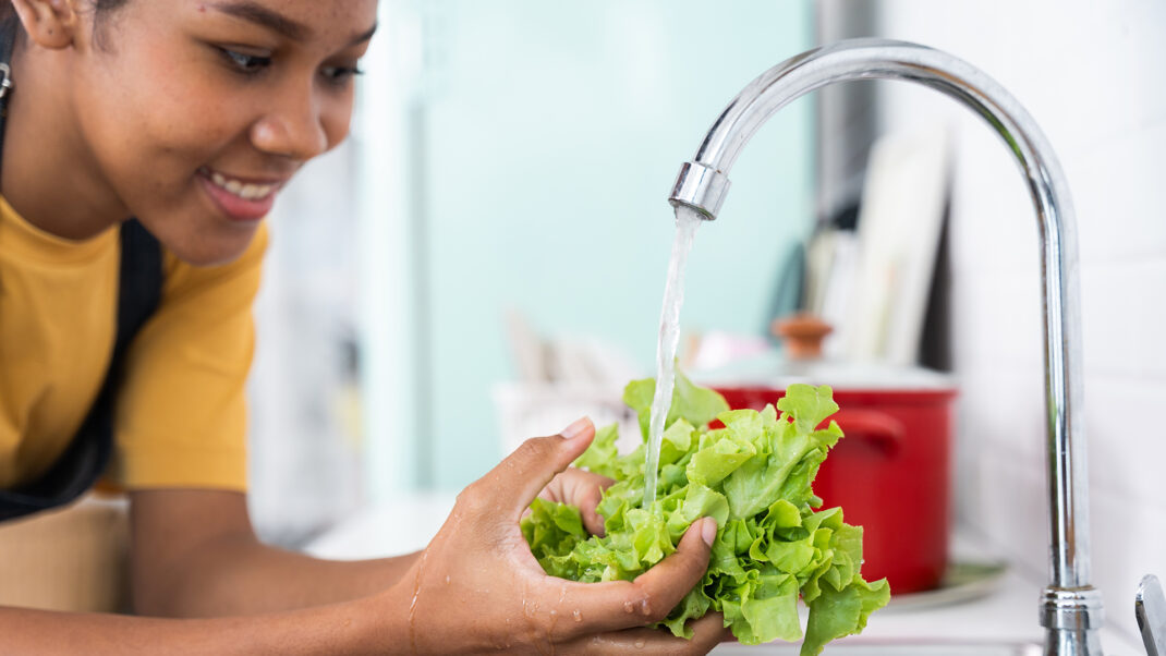 Why you should always stash your lettuce in the fridge