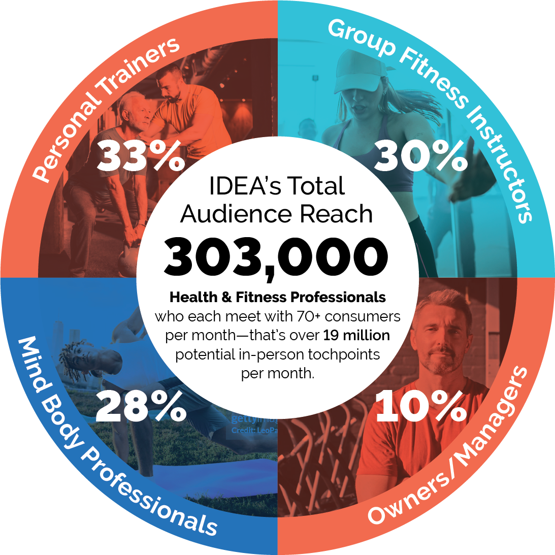 audience-piechart IDEA's Audience