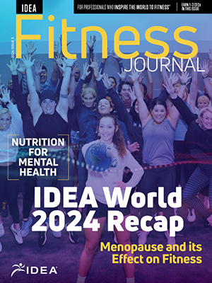 DIFJ-24Issue3-cover-300x400
