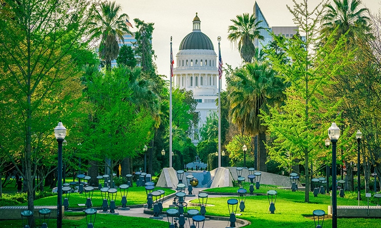 Museums and History