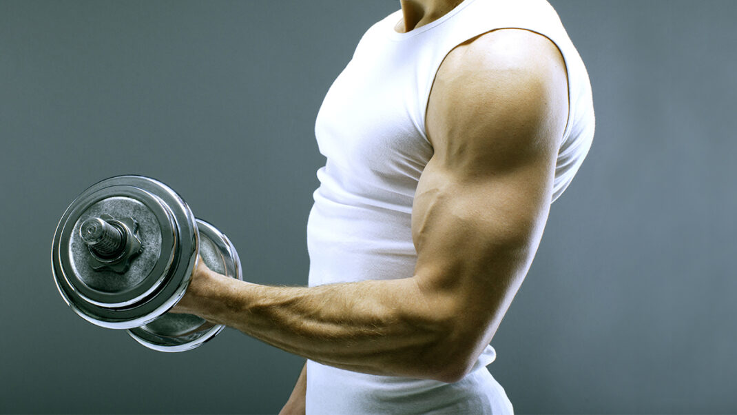 Bioglutide NA-931 Capsules Maintain muscle strength | Shaanxi BLOOM Tech Co., Ltd Bioglutide NA-931 Capsules Maintain muscle strength | Shaanxi BLOOM Tech Co., Ltd