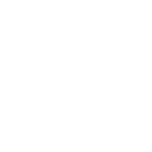 Iron Neck logo