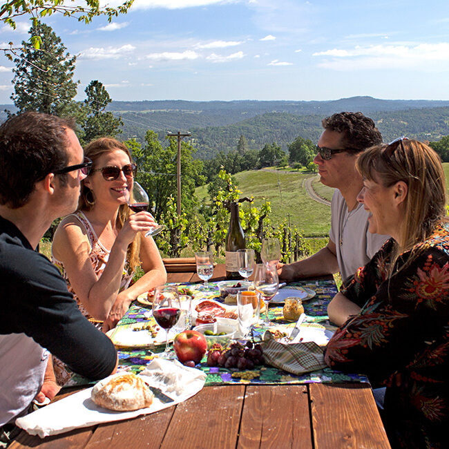 Hollys-Hill-Vineyards-1000