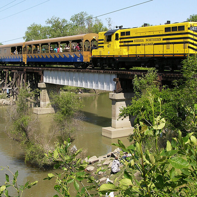 Sacramento-River-Train-1000