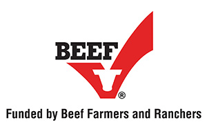 Beef Farmers and Ranchers