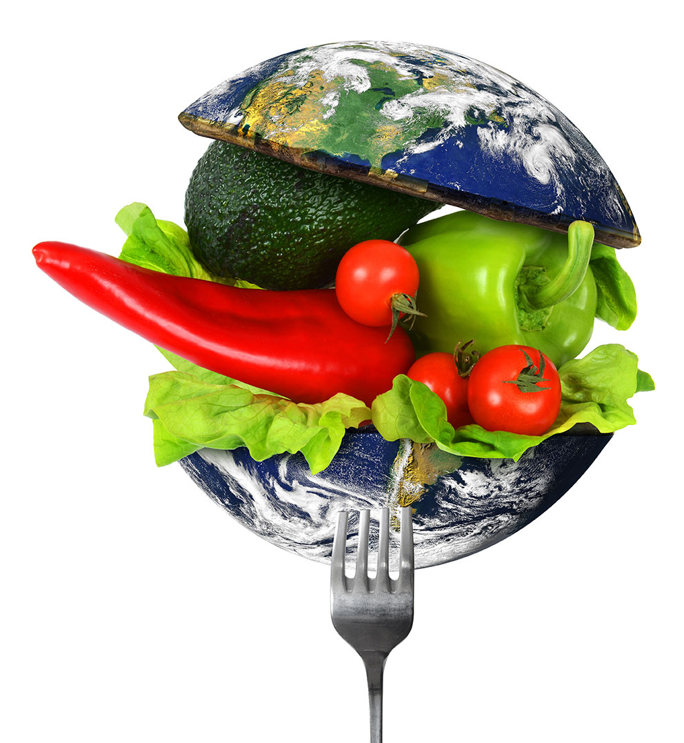Healthy world 4. Еда. Здоровое питание. Планета еды. Еда на земле.