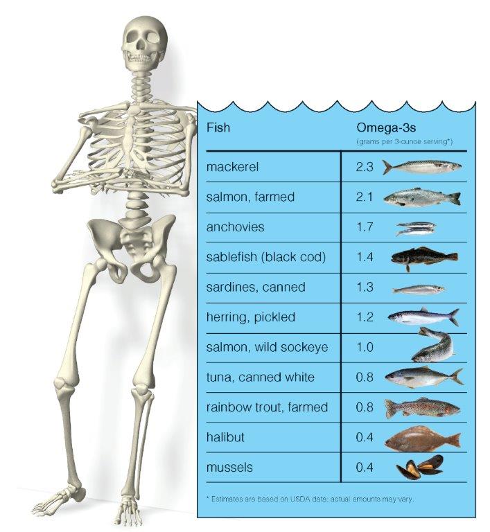 Fish Chart