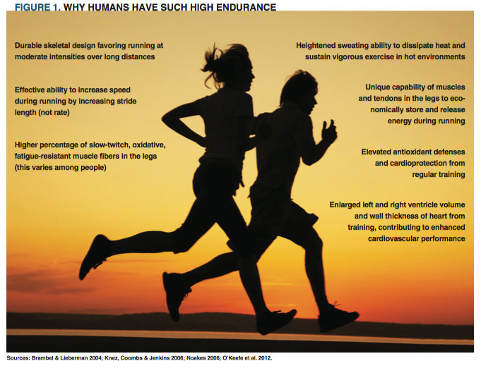 punkt ekstremister Alarmerende Limits and Effects of Ultra-Endurance Exercise - IDEA Health & Fitness  Association