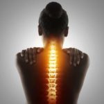 Skeletal Health Graphic