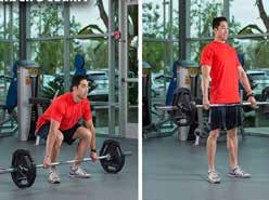 ACEFitness