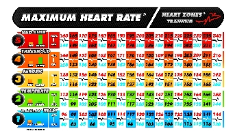 Cardio Training Heart Rate Chart
