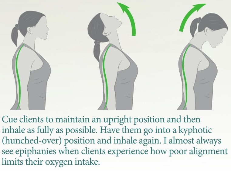 bad-posture-collage-resized - Upright Posture Fitness - Look Younger, Feel  Better and Live Pain Free