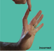 Incorrect Image